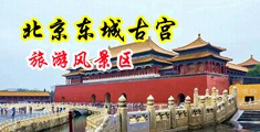 大鸡巴操小逼逼网站中国北京-东城古宫旅游风景区